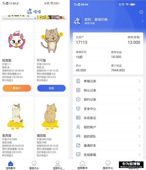 揭秘：號稱零擼的“養(yǎng)貓賺錢”騙局套路！