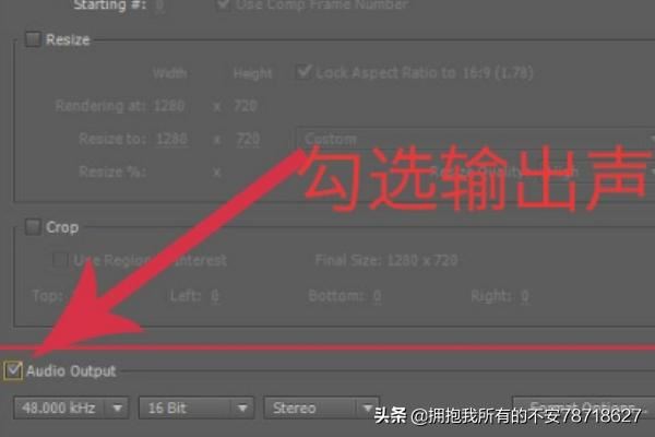 AE怎么導出視頻？