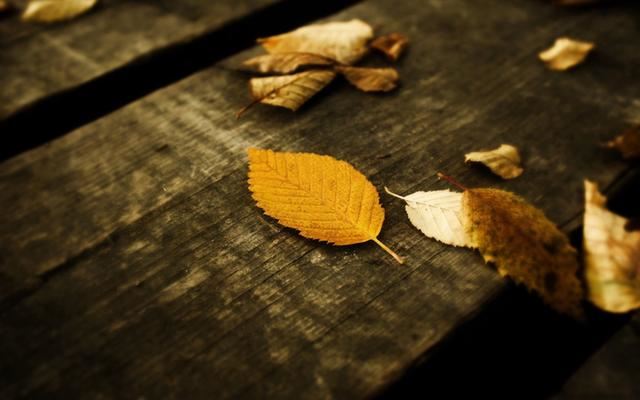 頭條極速版刷視頻時(shí)跳出來(lái)的200金幣建議領(lǐng)嗎？