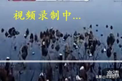 如何保存電腦中的視頻緩存文件？