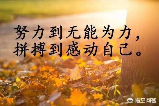 我的抖音被好友拉黑了可以看到好友動(dòng)態(tài)嗎？