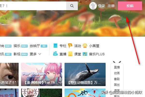 B站如何投稿互動視頻?