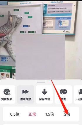 抖音按住屏幕會2倍快進怎么開？