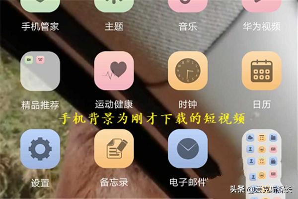 抖音短視頻怎么保存動(dòng)態(tài)壁紙？