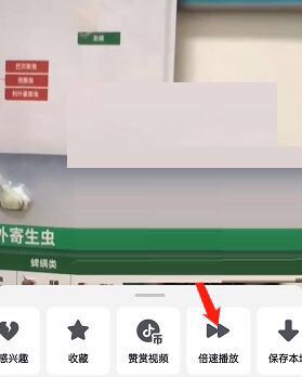 抖音按住屏幕會2倍快進怎么開？