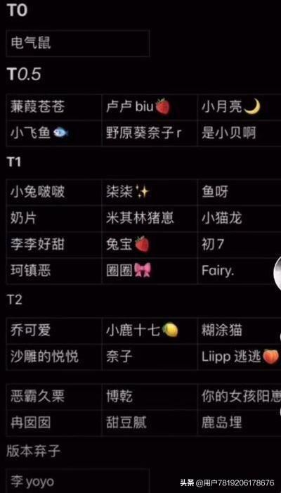 抖音t1是什么意思？