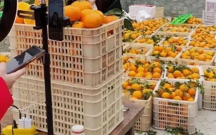 普通人如何在抖音創(chuàng)業(yè)？