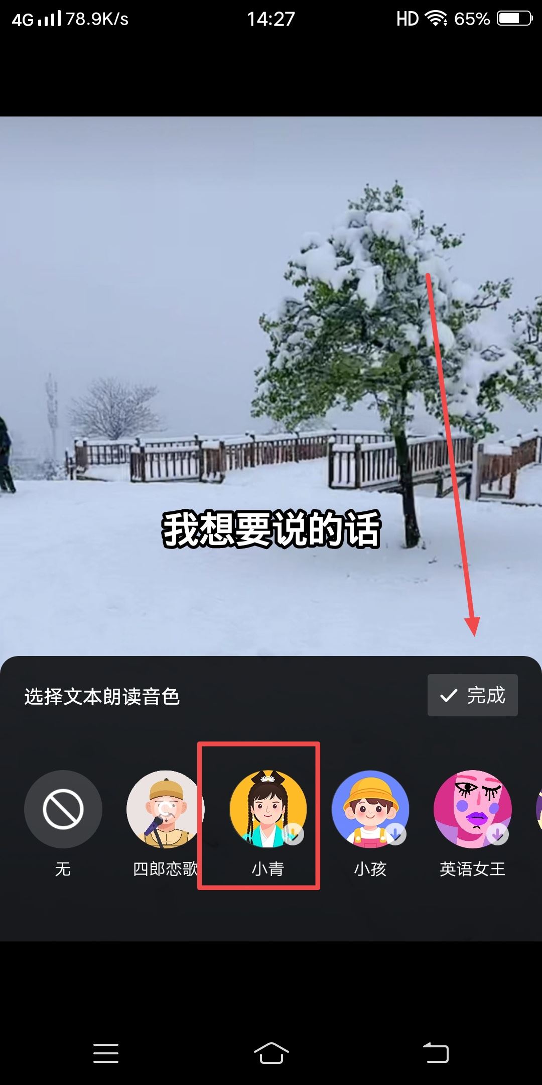 抖音發(fā)視頻怎么配自己想說的話？