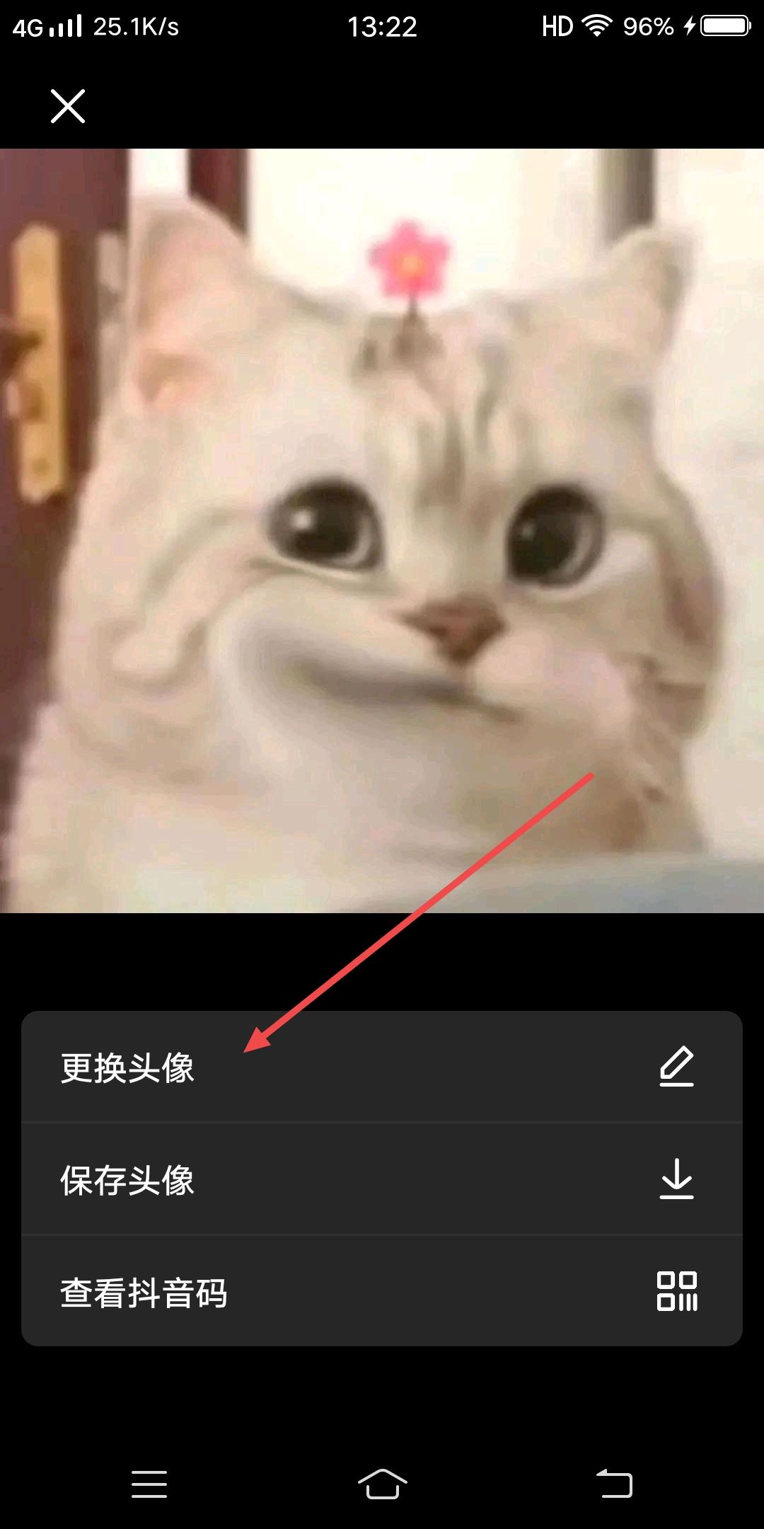 怎么把抖音轉(zhuǎn)動(dòng)碟片變?yōu)樽约侯^像？