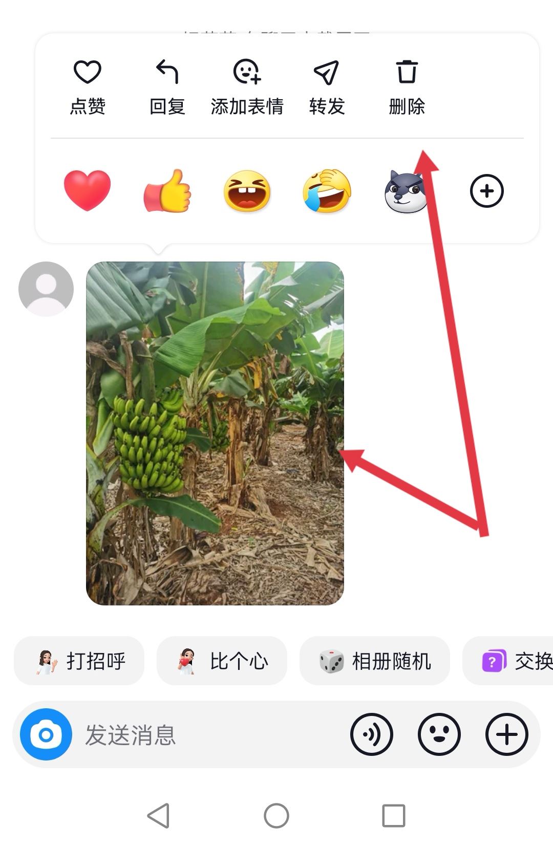 抖音回復的圖片可以刪除嗎？
