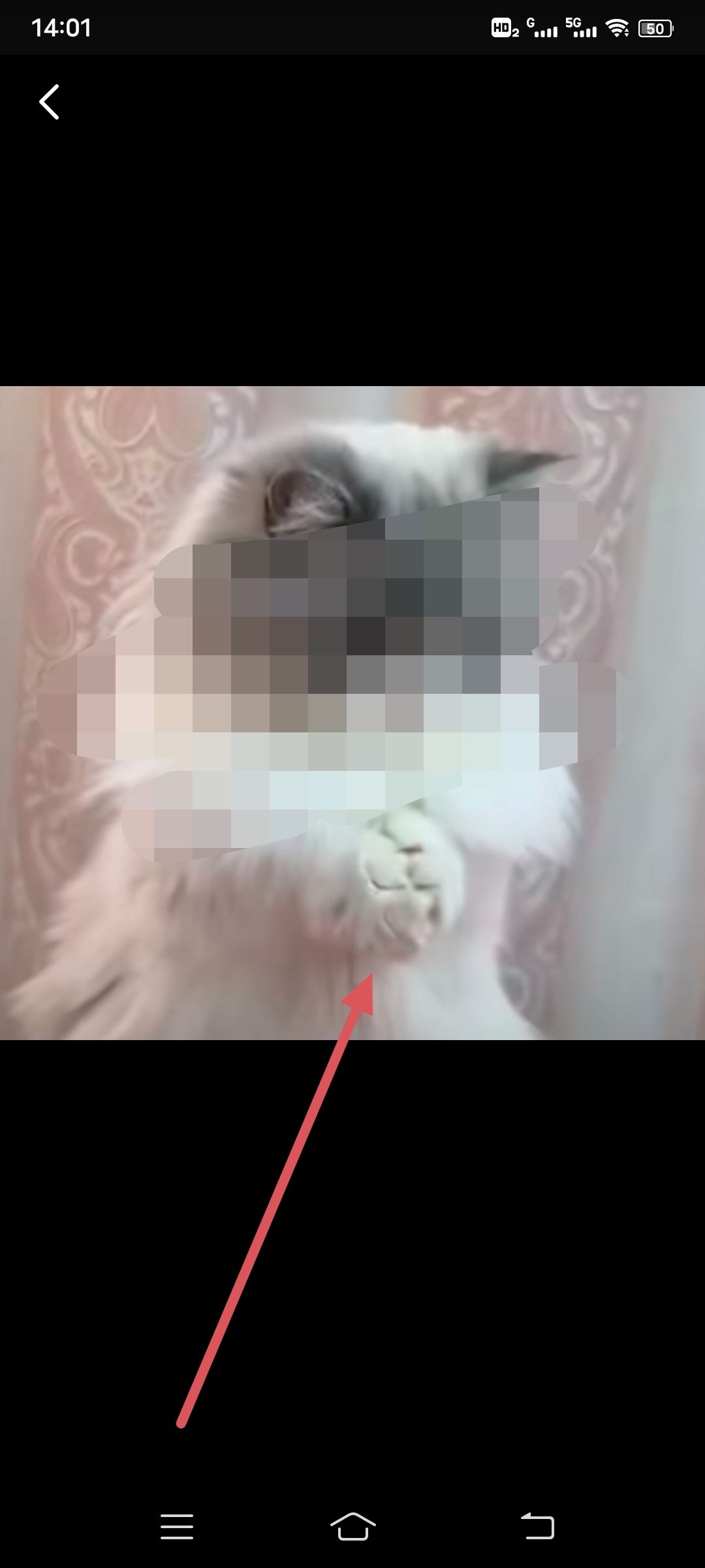 抖音怎么放大表情包？