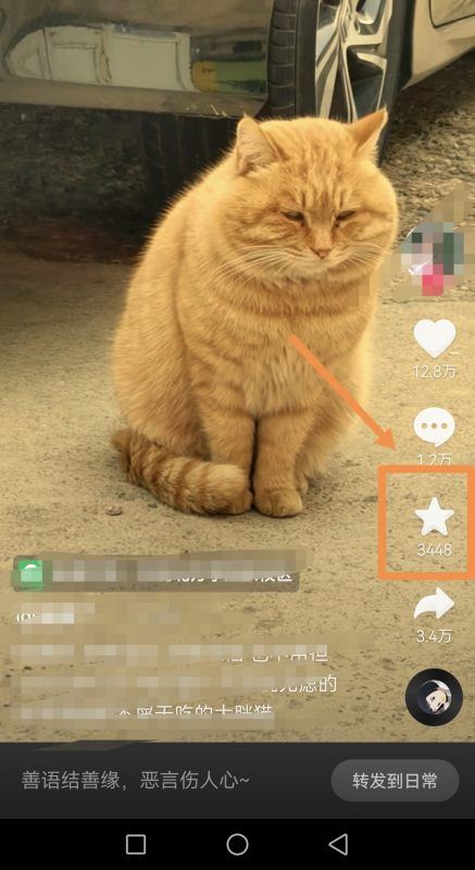 抖音收藏視頻不見了怎么清除??？