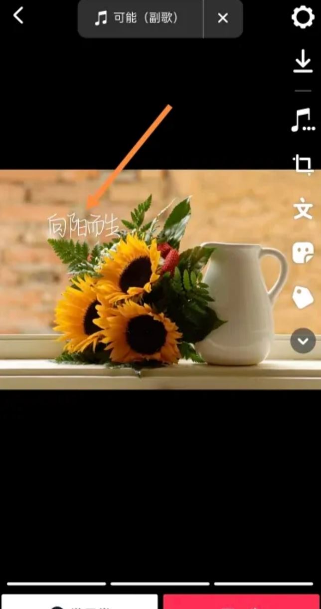 抖音圖片文字標(biāo)記怎么做？